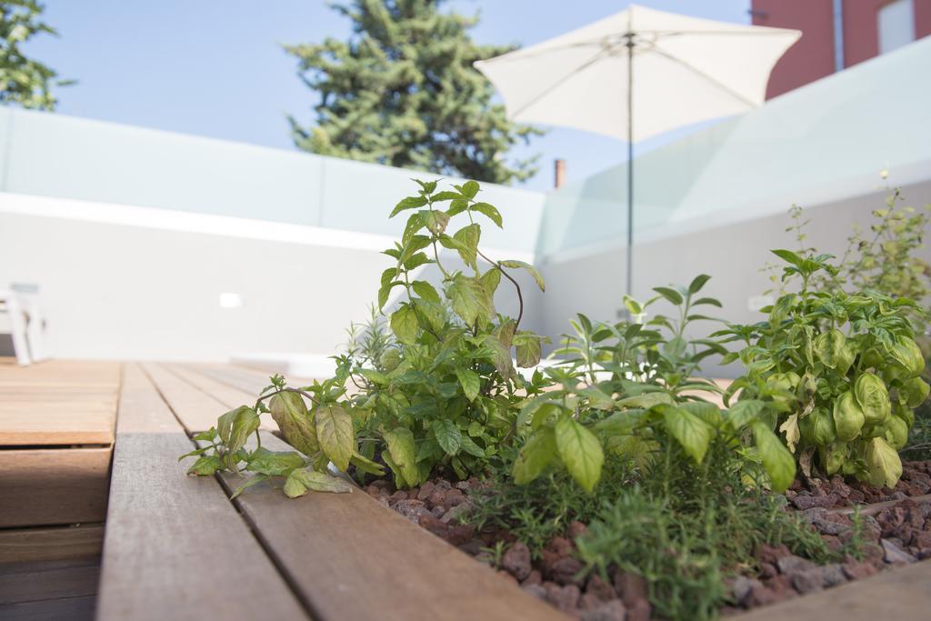 Villa Danex Premium أوماغ المظهر الخارجي الصورة